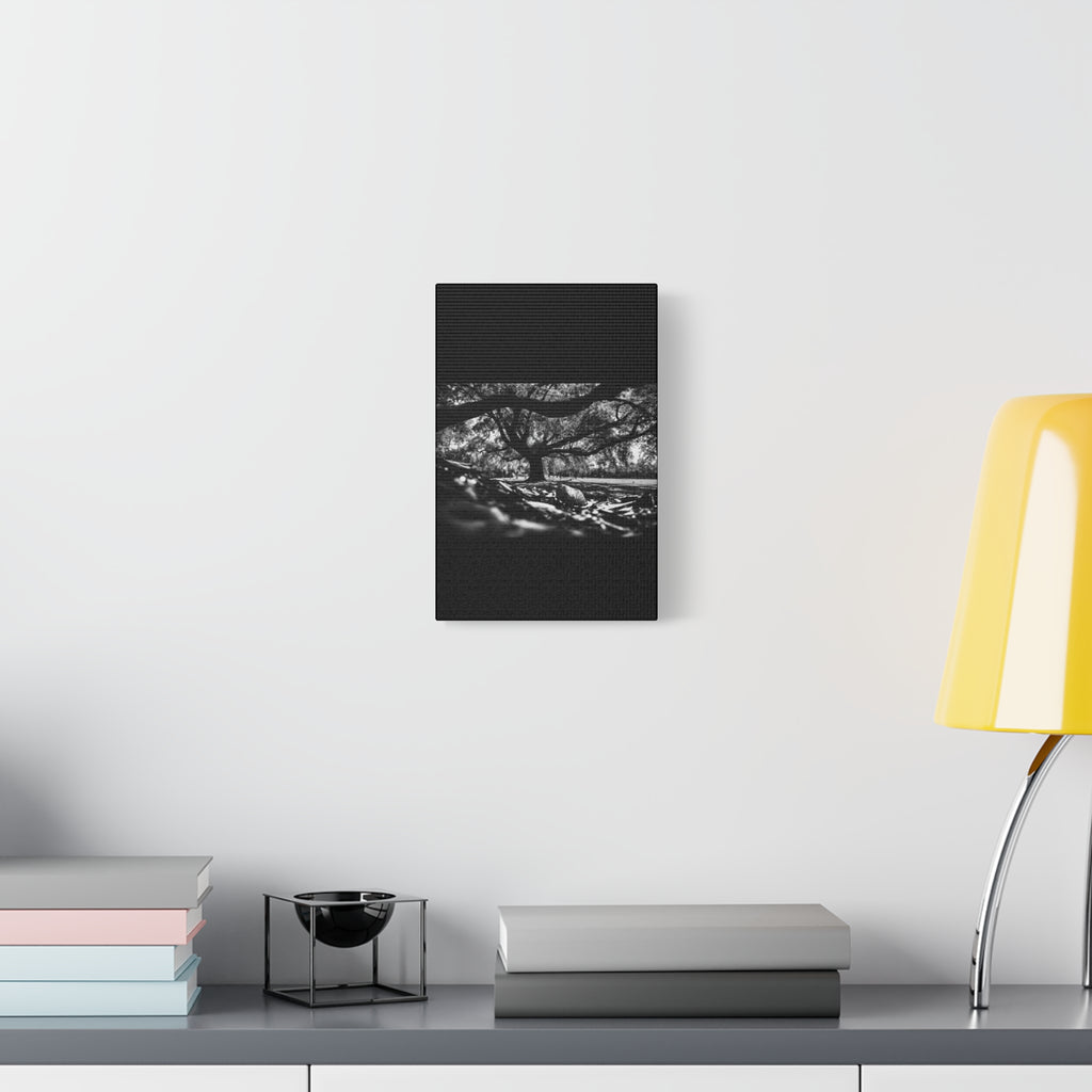 Classic Canvas
