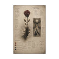 The Rose // BC Series Canvas