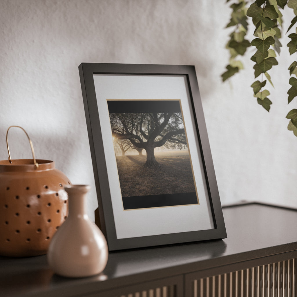 Framed Posters, Black