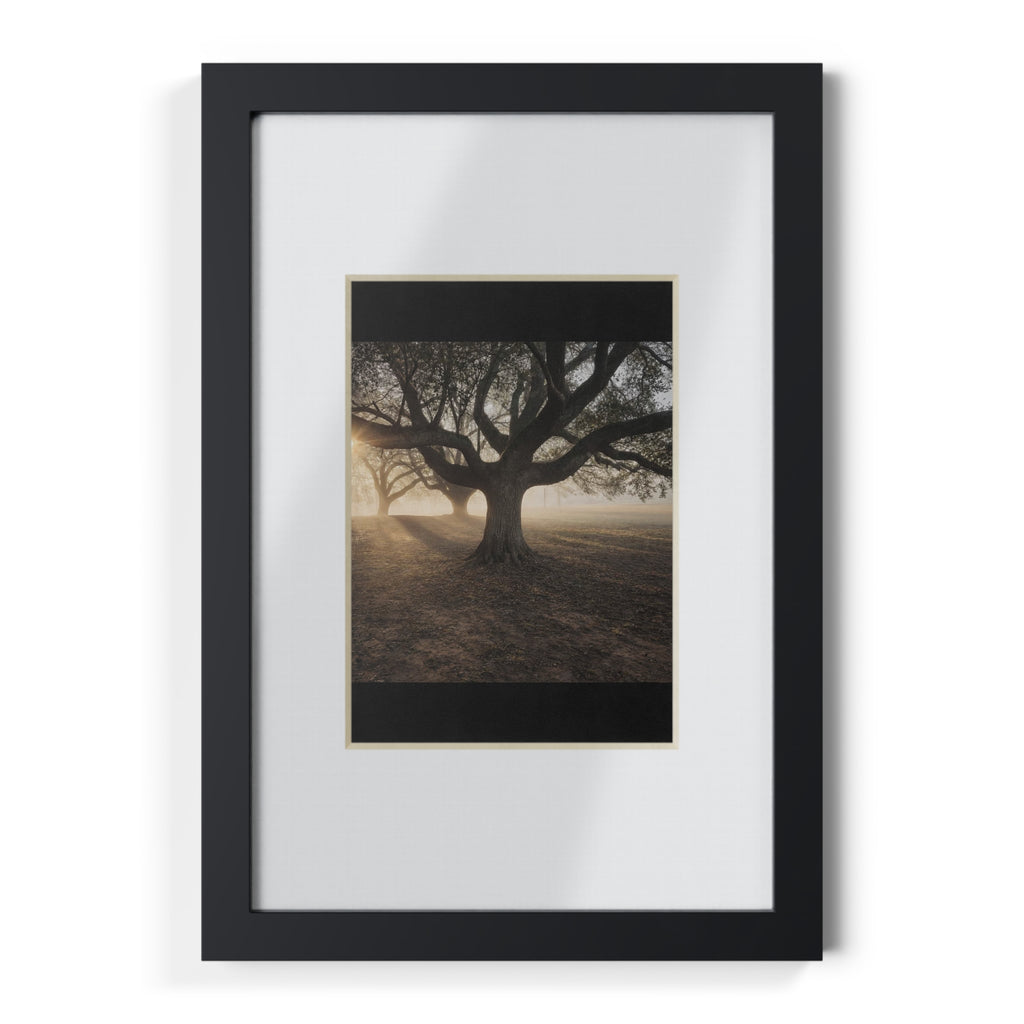 Framed Posters, Black