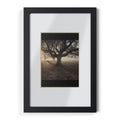 Framed Posters, Black