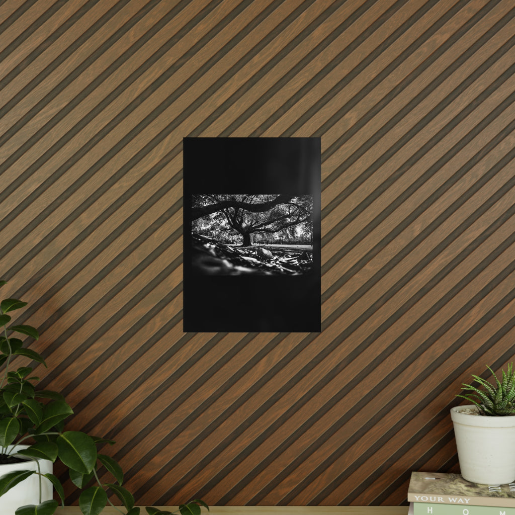 Photopaper Posters