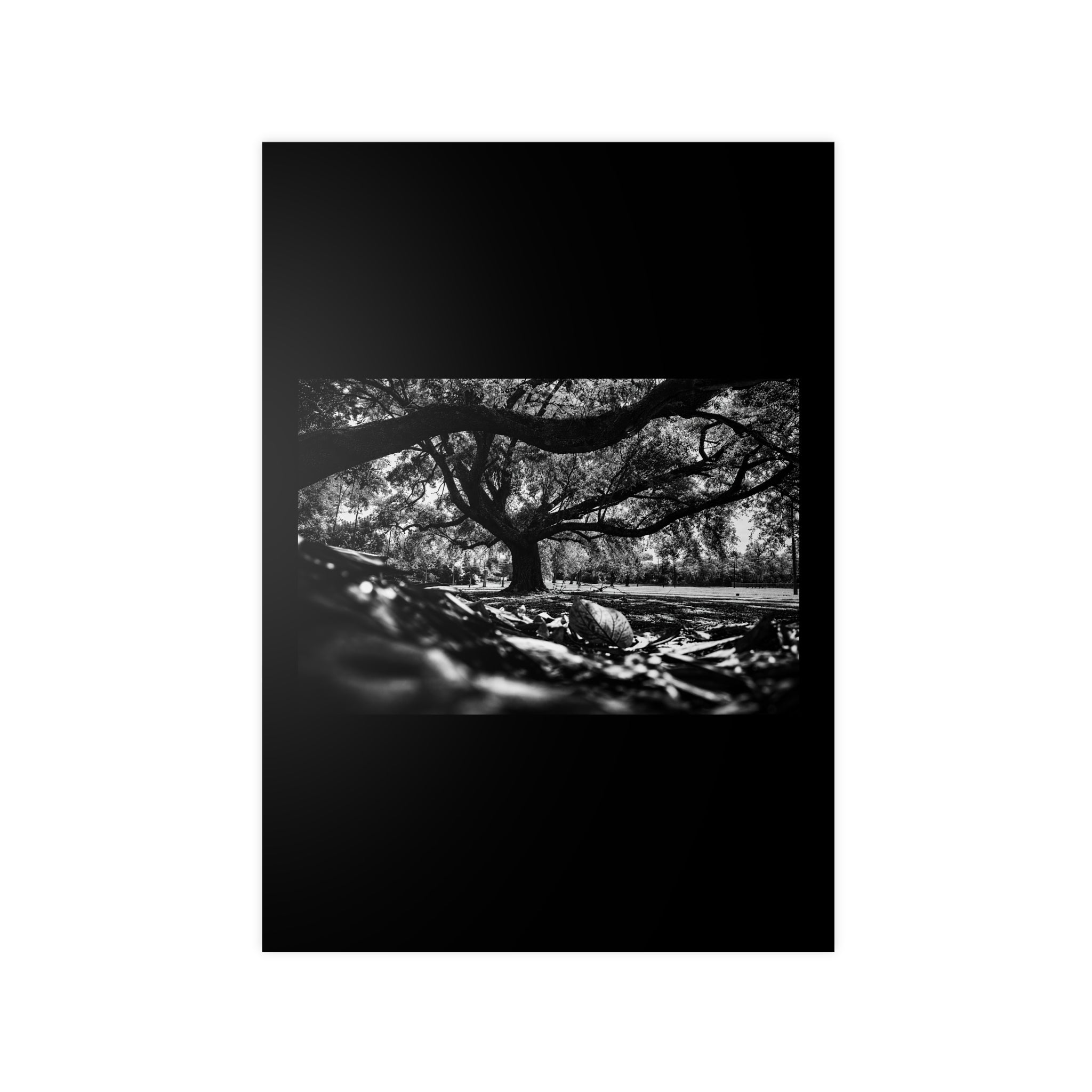 Photopaper Posters
