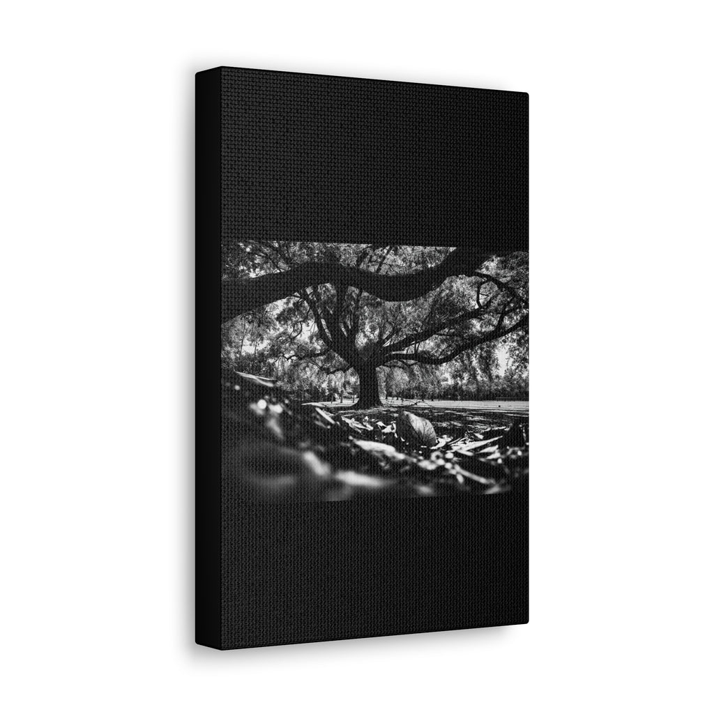 Classic Canvas