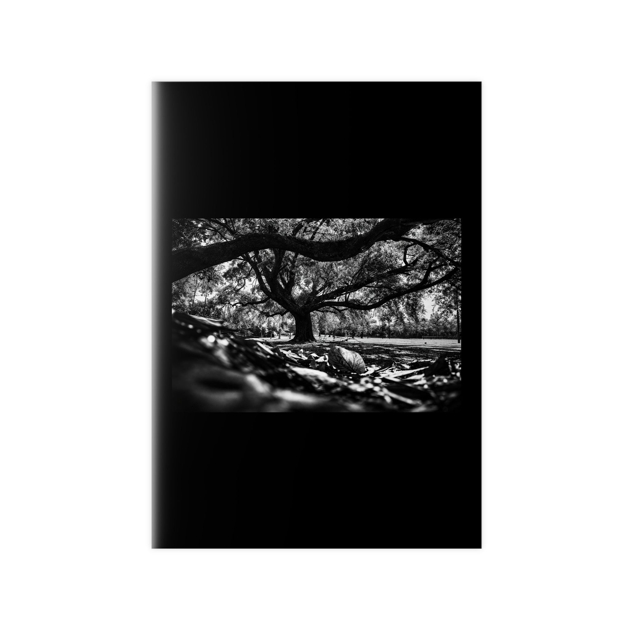 Photopaper Posters